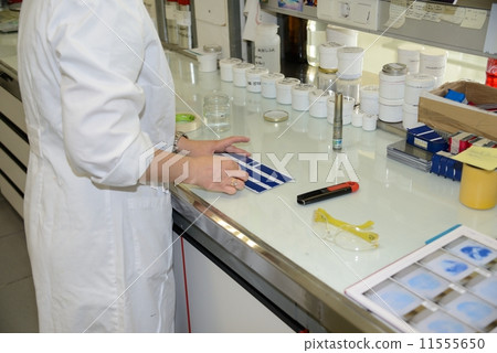 Spain ink factory 11555650