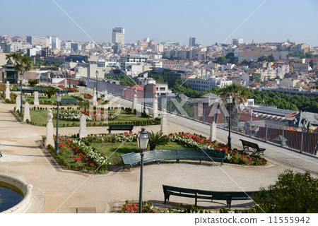 Portuguese Lisbon Streetscape 11555942