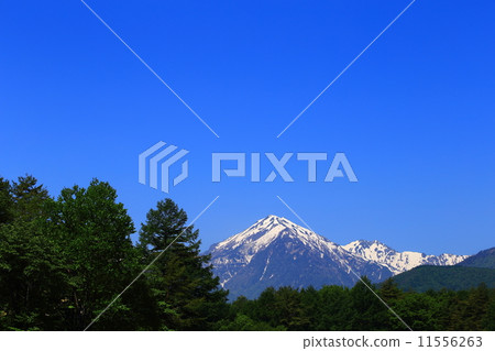 Northern Alps seen from the Nakayama plateau in Omachi city, Nagano Prefecture 11556263