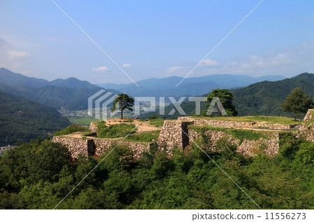 Takeda Castle Ruins 11556273