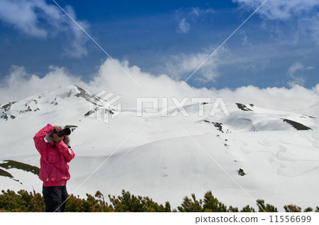 Snow Tateyama女攝影師 Snow Tateyama女攝影師 11556699