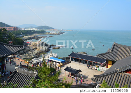 釜山海 釜山海 11556966