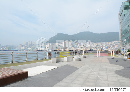 釜山 釜山 11556971
