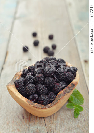 Blackberry 11557215