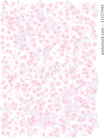 在一邊的櫻花瓣 11557442