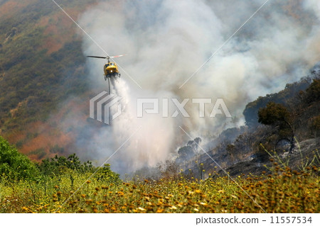 Barnett Fire 11557534