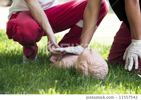 First aid training First aid training 11557542