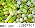 Cucumber and Eggplant 11557707