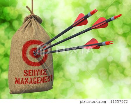 Service Management - Arrows Hit in Target. 11557972