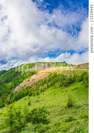 清爽的高原 清爽的高原 11558445