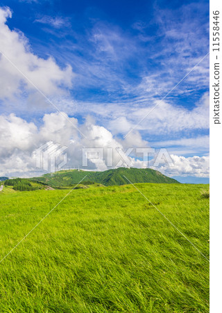 夏季高原 夏季高原 11558446