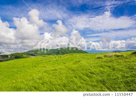 Mihigahara in early summer Mihigahara in early summer 11558447