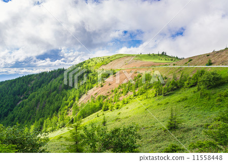 在初夏的高地公路 在初夏的高地公路 11558448