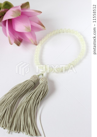 你的念珠 11558512