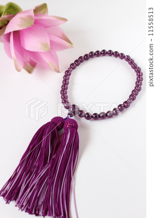 Otaru Otaru 11558513