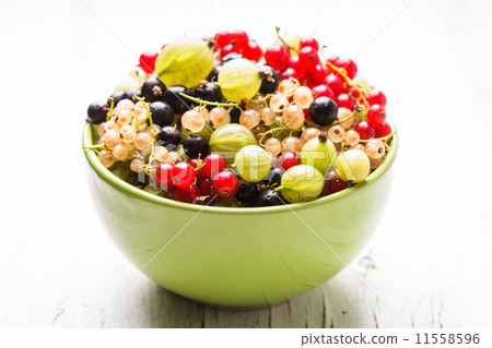 Currants and gooseberry 11558596