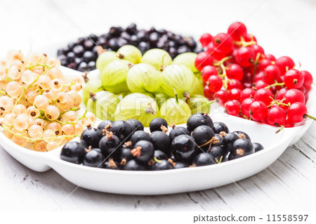 Currants and gooseberry Currants and gooseberry 11558597