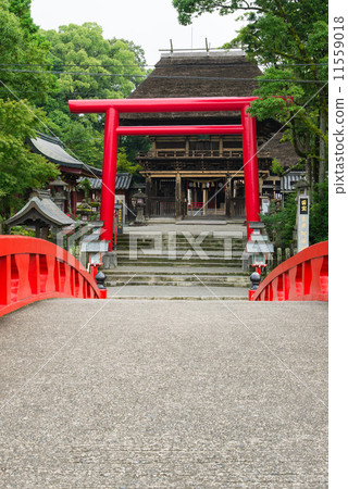 Aoi Aso Shrine 11559018