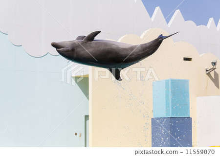 海豚跳 11559070