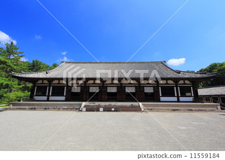 Toshodaiji寺廟禮堂 Toshodaiji寺廟禮堂 11559184