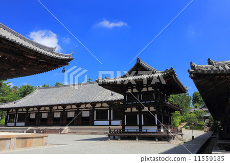 Toshodaiji Temple 11559185