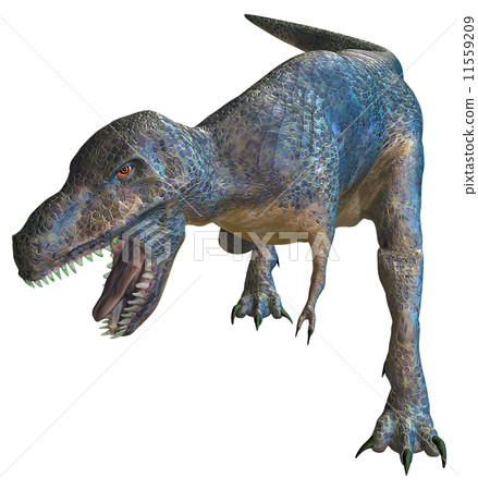 T-REX ☆ Tyrannosaurus 11559209