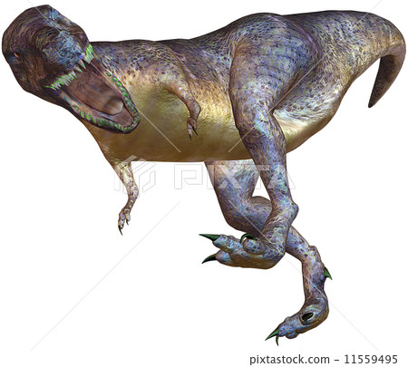 T-REX ☆ Tyrannosaurus T-REX ☆ Tyrannosaurus 11559495