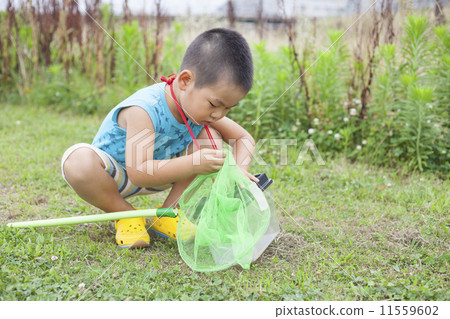 Child to collect insects 11559602