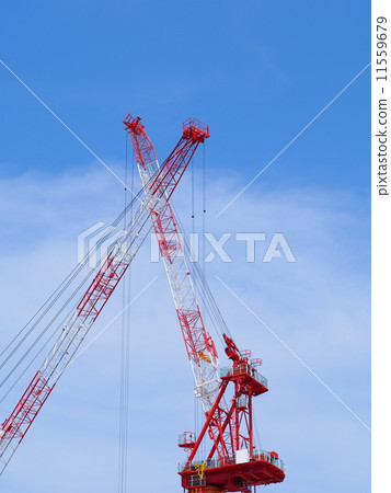 塔式起重機 11559679