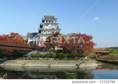 Fukumata castle in autumn Fukumata castle in autumn 11559798