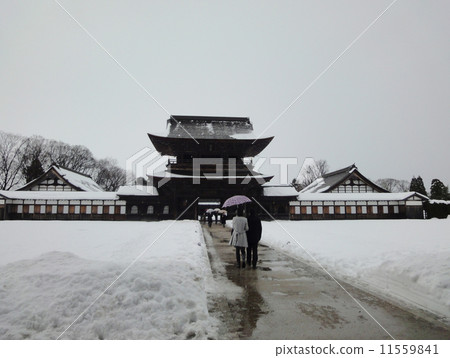 Image of the national treasure Zuiryuji (Toyama prefecture Takaoka city) 11559841