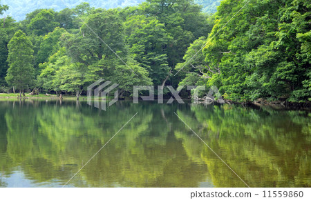 Lake of silence 11559860