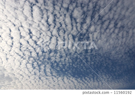 Sheep clouds 11560192