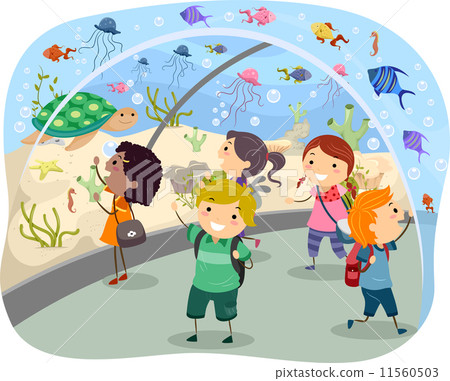 Trip to the Aquarium 11560503