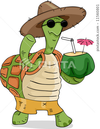 Turtle Coconut Drink Turtle Coconut Drink 11560801