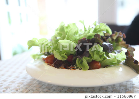 ceacar salad in close up 11560967