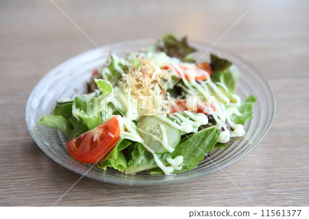 ceacar salad in close up 11561377