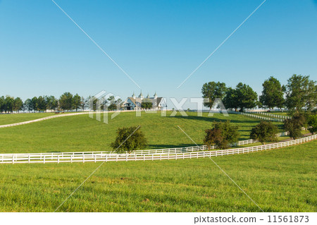 Countryside 11561873