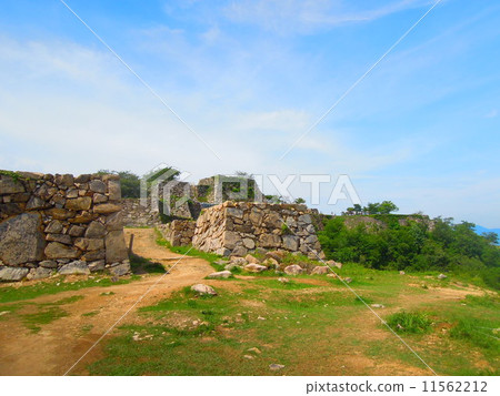 武田城堡 11562212