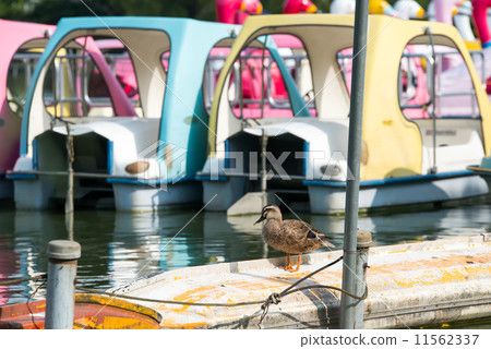 The boat of Shinarazuki and the cargamo The boat of Shinarazuki and the cargamo 11562337