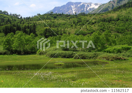 Tsugaike nature park Ukishima Marsh and Hakuba-dake 11562517