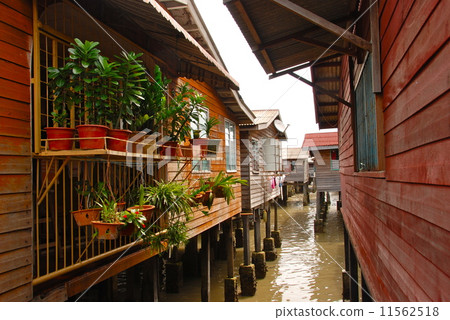 屋簷前花盆（山打根/東馬來西亞/婆羅洲島） 11562518