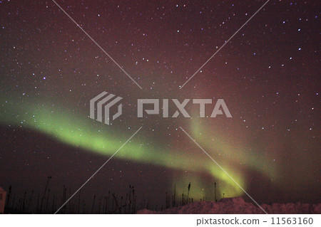 Aurora of Alaska Aurora of Alaska 11563160