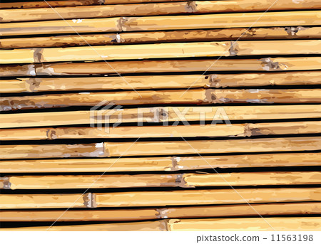Bamboo background illustration 11563198