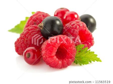 raspberry and currants on white raspberry and currants on white 11563519