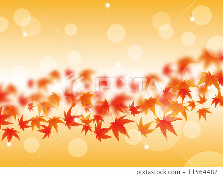 Autumn leaves background 11564482