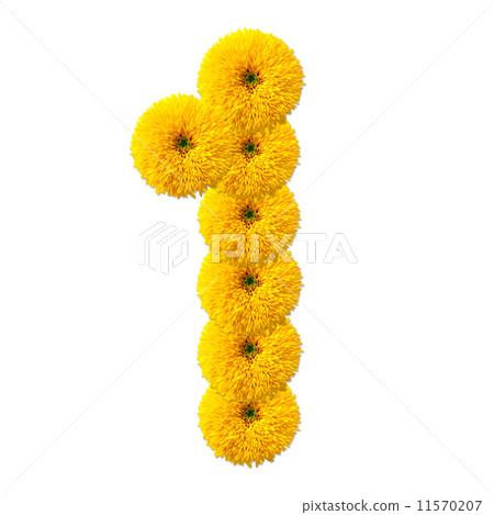 decimal cipher of flowers 11570207
