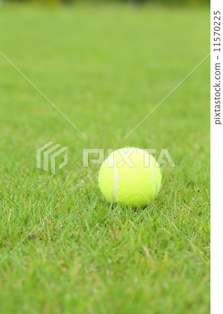 Tennis ball Tennis ball 11570225