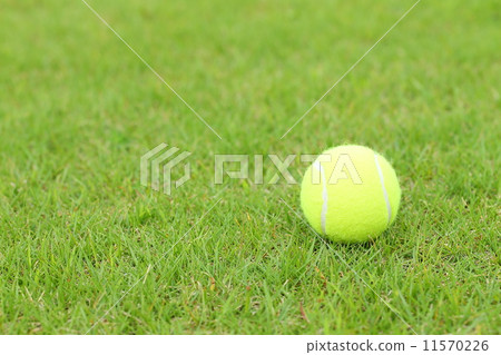 Tennis ball 11570226