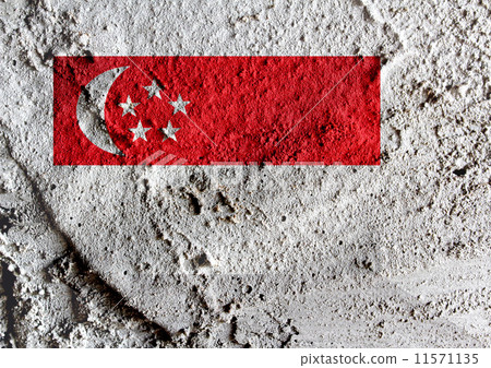 Singapore Flag Singapore Flag 11571135